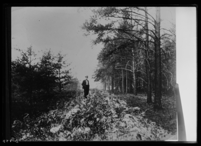 Fire line; heavy fire on right side of line not burned; line gave perfect protection in Michigan. 2/15/1911