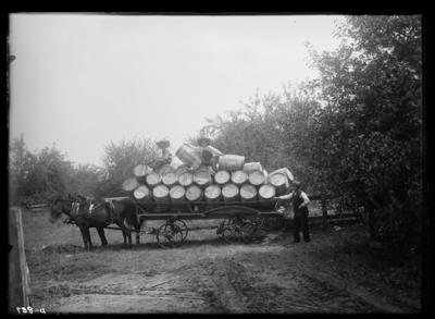 Hauling apple barrels at Tip Top, Kentucky. 8/26/1910