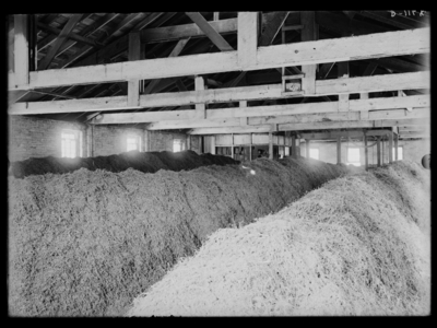 Blue grass seed at Brent's warehouse in Lexington, Kentucky. 6/25/1908