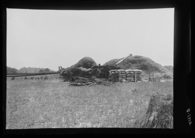 Threshing orchard grass seed in La Grange, Kentucky. 1916