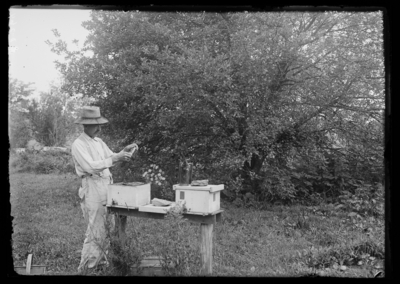 J.P. Moore Queen breeder in Morgan Kentucky. 7/25/1916