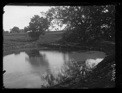 Station pond. 6/4/1904