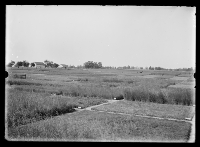 Plots-general view. 6/17/1907