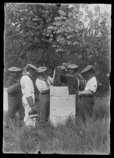 Bee-keeping class. 1936