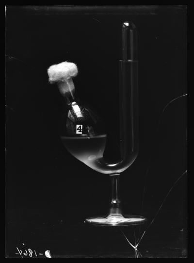 Fermentation tube of reservoir water treated with chloride of iron-1/4 grain in 500 c.c. Natural size. 9/10/1910