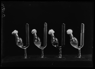 Fermentation tubes of reservoir water treated with 1. chloride of lime; 2. check; 3. chloride of lime and chloride of iron added 6 hours later; 4. check. 9/12/1910