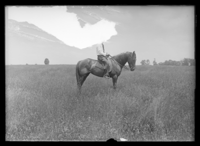 Mr. Nicholls on horseback, Weil's Farm, Fayette County 6/13/1919