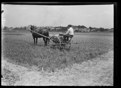 Weed sprayer, which is Spraying at plots. 6/6/1907