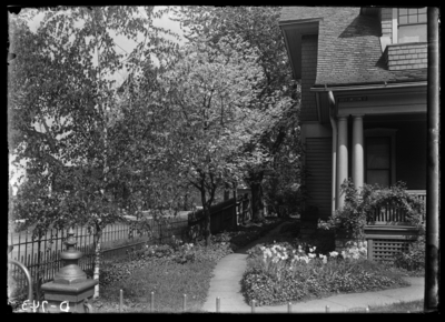 Flowering dogwood & bed poppies at Harrison Garman's Residence. 4/22/1925