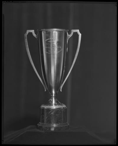 Prince of Wales Cup (Steeplechase Challenge, 1931)