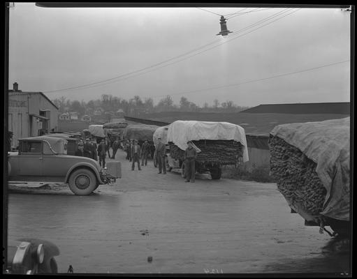 Tobacco trucks: street scene, South Broadway and Angliana Avenue