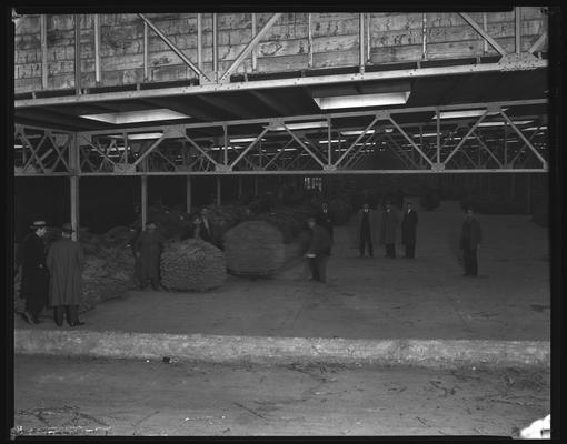 Central Distributing Warehouse Corporation; Tattersall (tobacco), interior