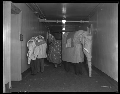 College Circus; University of Kentucky (people in elephant and giraffe costumes)