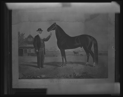 Hambletonian; painting of horse
