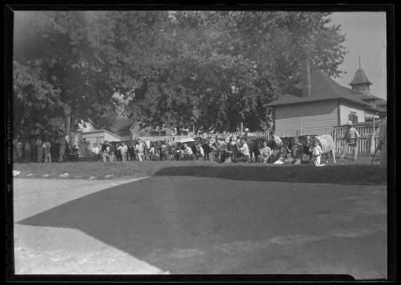 4-H Club; cattle and crowd