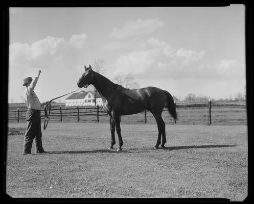 Joe Matherson and Carroll Day, with horse (Twenty Grand) at Whitney Farm