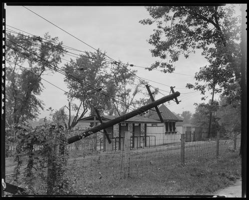 Kentucky Trac. and Term Company; fallen telephone pole