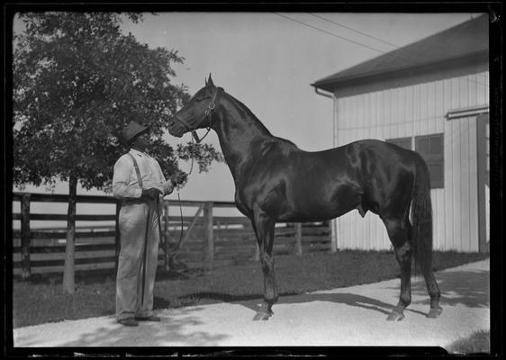 Will Harbut with Man O' War (horse)