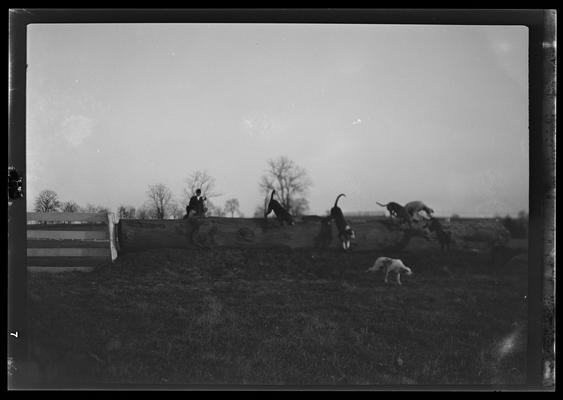 Fox Hunt; Iroquois Hunt Club