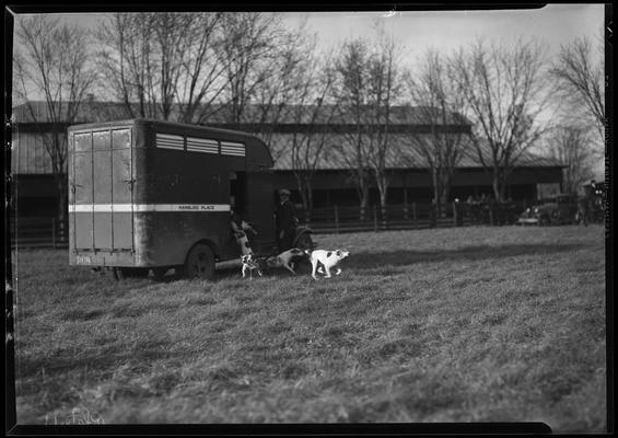 Fox Hunt; Iroquois Hunt Club (dog truck, Hamburg Place)