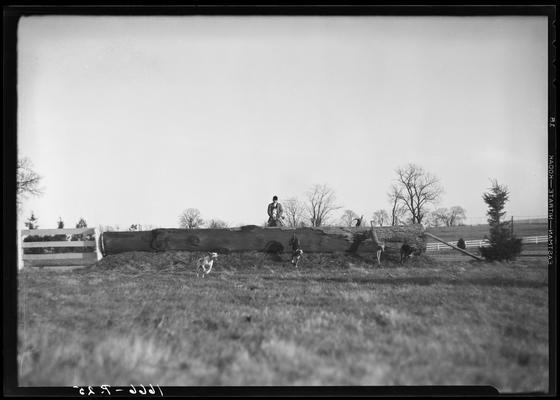 Fox Hunt; Iroquois Hunt Club