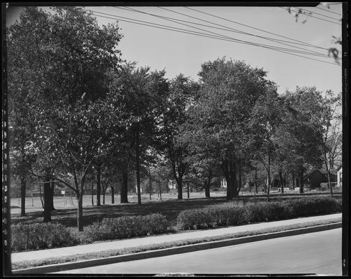 Democratic Headquarters, exterior; park