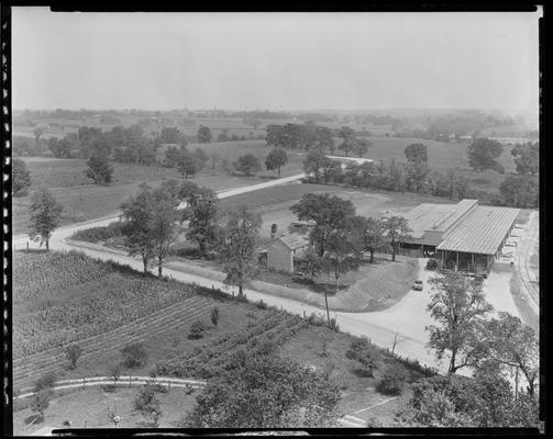 Swift and Company Stock Yards, Old Frankfort Pike; exterior, aerial view