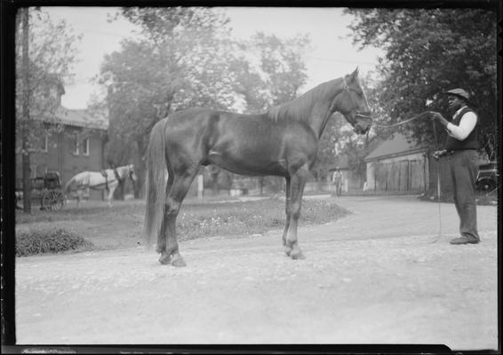 Jones, Mr.; at fairgrounds with horse