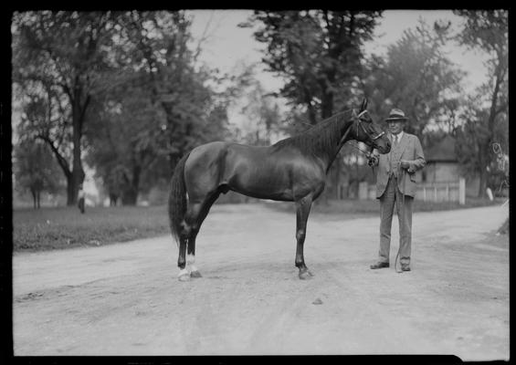 Reynolds, W.R. and horse; Dick Reynolds