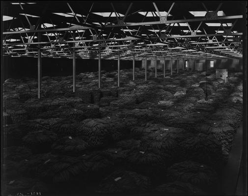 Tobacco Warehouse; scenes, interior