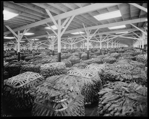 Farmers Tobacco Warehouse Company, 1109 West High; interior