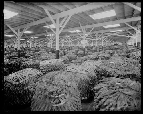 Farmers Tobacco Warehouse Company, 1109 West High; interior