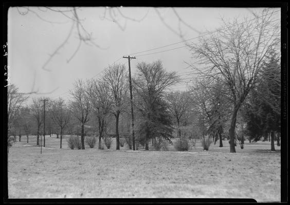 John E. Madden; snow scenes