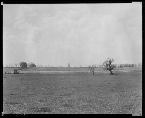 Shoshone Farm; scenes, fields