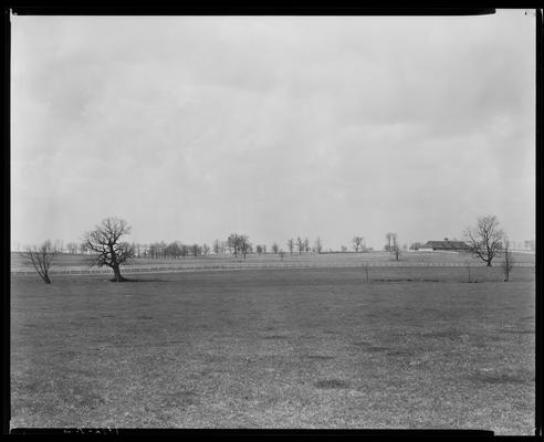 Shoshone Farm; scenes, fields