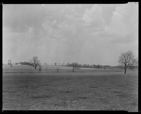 Shoshone Farm; scenes, fields