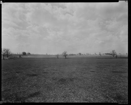 Shoshone Farm; scenes, fields