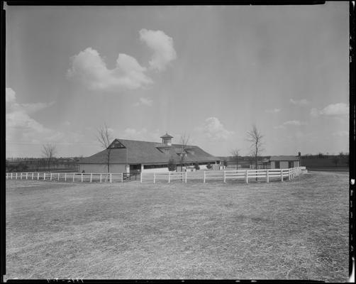 Shoshone Farm; scenes, horse barn