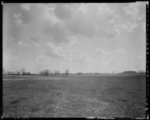 Shoshone Farm; scenes, fields