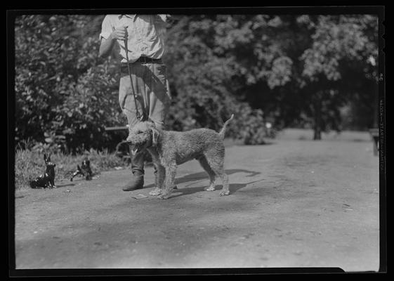 J.E. Madden; dog, yawning