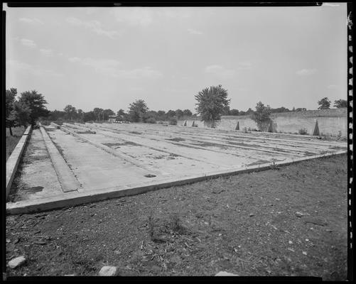 Mr. J. H. Byrd (Distilleries); fields