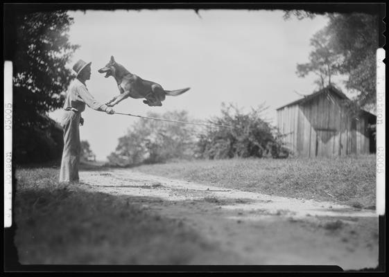 J.T. Denton; dog jumping over stick