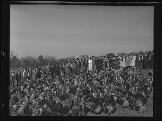 O.C. Rankin; Turkeys (in cage)