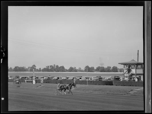 Trotting Tracks and Action Tracks