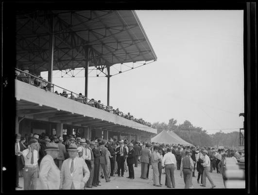 Trotting Tracks and Action Tracks