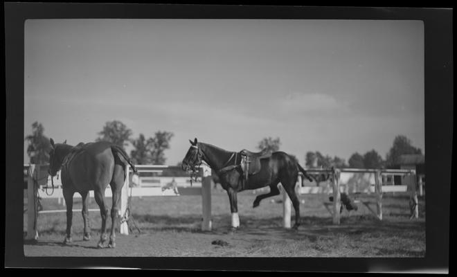 Iroquois Hunt Club; polo game scenes