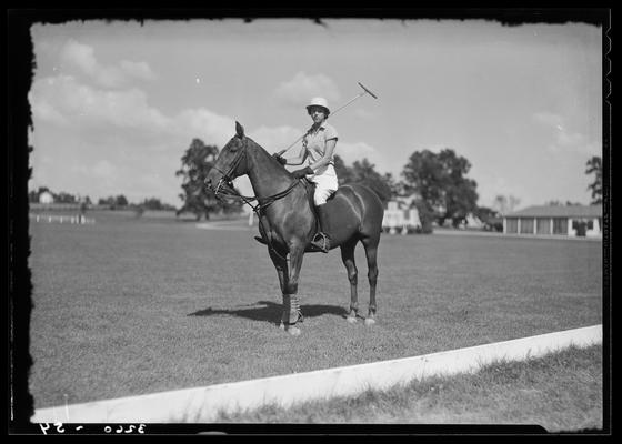 J.E. Madden; polo horses, players