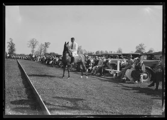 J.E. Madden; polo horses, players