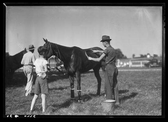 J.E. Madden; polo horses, players