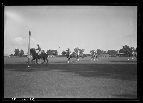 J.E. Madden; polo (game scenes)